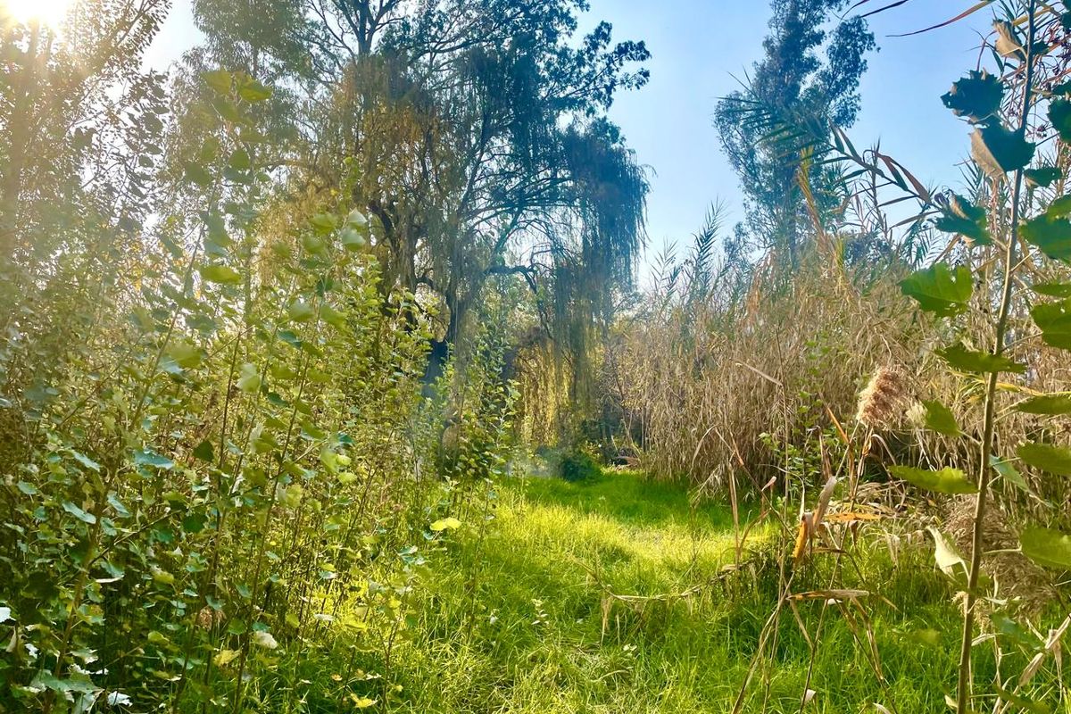 Large vacant stand for sale in Parys - Photo 4