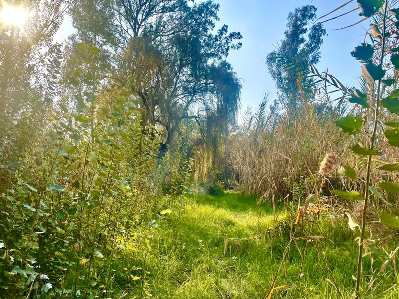 Large vacant stand for sale in Parys - Photo 4