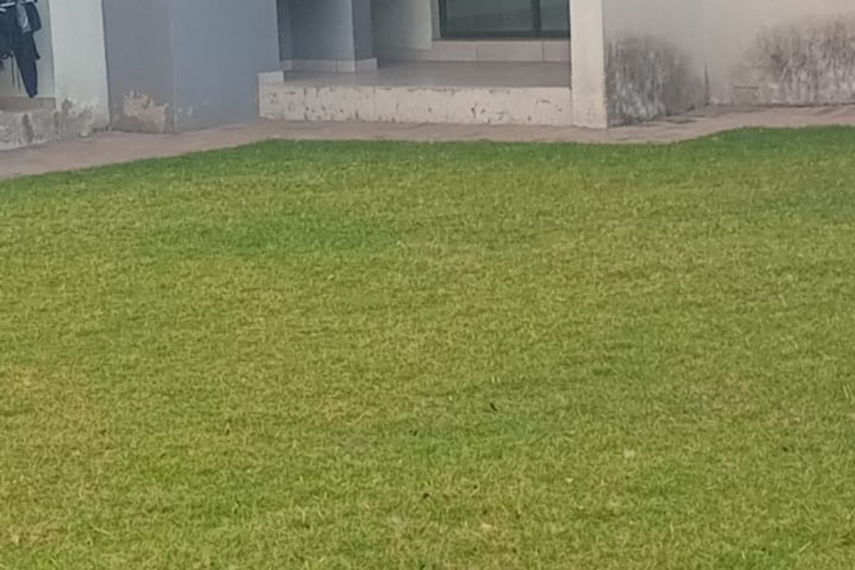 Exterior view of an apartment building featuring a ground-floor patio with a built-in braai area and access to a shared garden space.