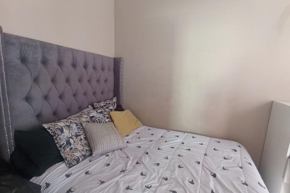 Charming 2-Bedroom House to Rent in South Hills - Photo 5