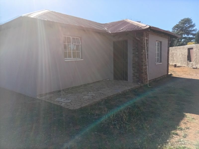 Front view of a single-story house featuring a corrugated metal roof, stone paved patio, and brick corner accents.