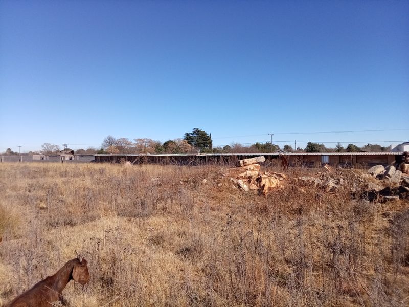 A view of a vacant residential plot featuring dry grass, scattered debris, and a boundary wall with an outbuilding in the background.