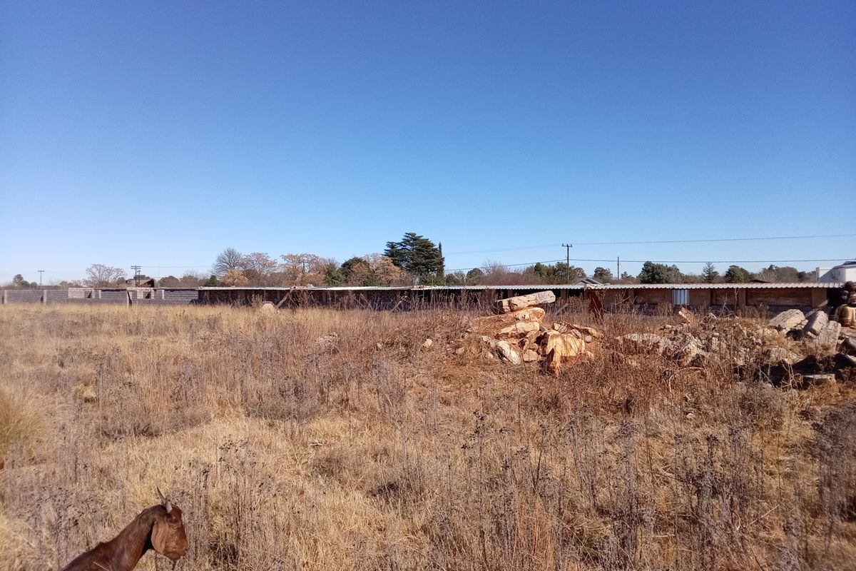 A view of a vacant residential plot featuring dry grass, scattered debris, and a boundary wall with an outbuilding in the background.