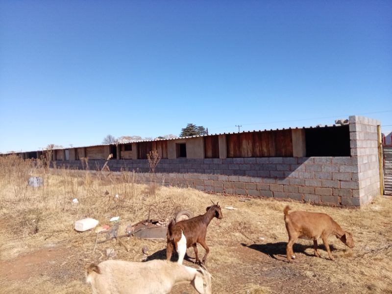 An exterior view of an unfinished, long structure featuring cinder block walls and a corrugated metal roof on a vacant residential plot.
