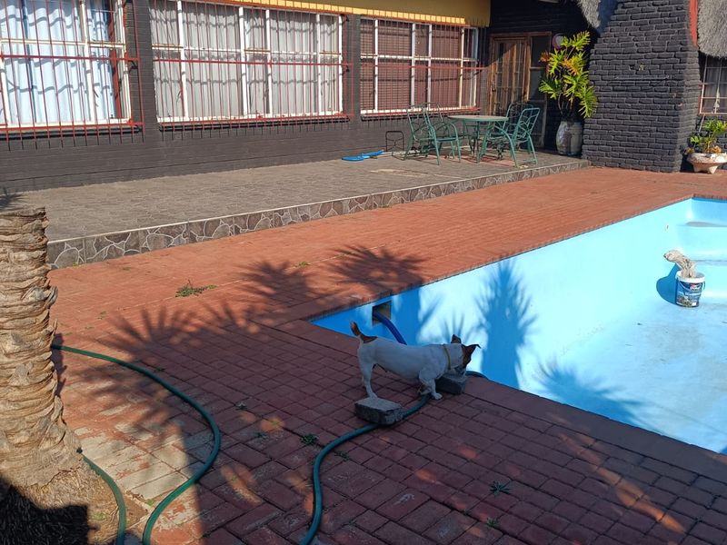 Outdoor pool area featuring brick paving, a swimming pool, and a rear building elevation with security bars and a brick chimney.
