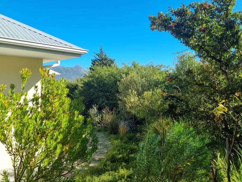 Furnished Garden Cottage - Photo 6