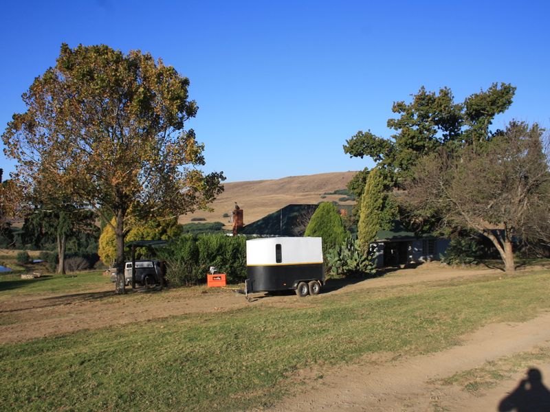 Yellowstone Ranch SA Style - Non Distressed Auction - Photo 6