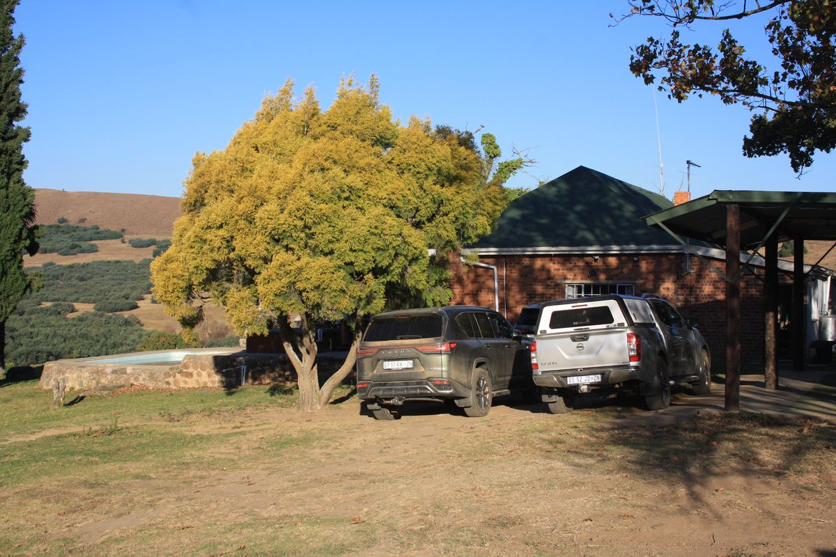 Yellowstone Ranch SA Style - Non Distressed Auction - Photo 4