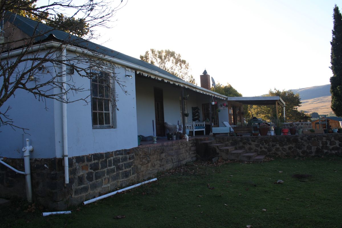 Yellowstone Ranch SA Style - Non Distressed Auction - Photo 3