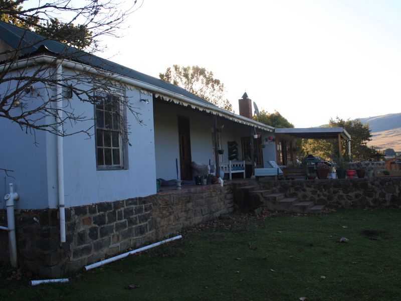 Yellowstone Ranch SA Style - Non Distressed Auction - Photo 3