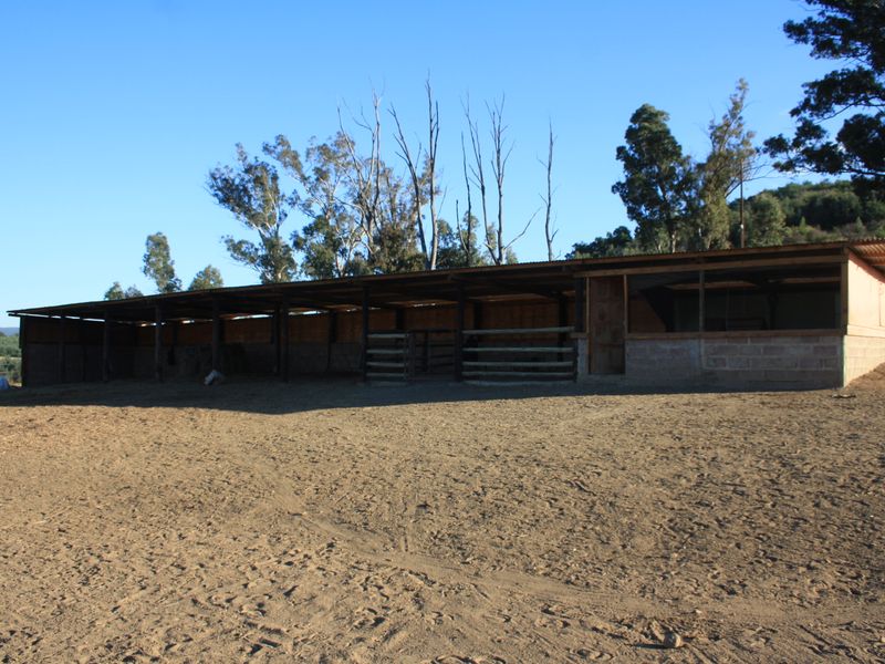 Yellowstone Ranch SA Style - Non Distressed Auction - Photo 7