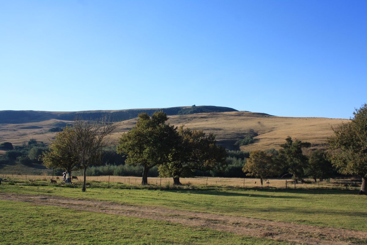 Yellowstone Ranch SA Style - Non Distressed Auction - Photo 5