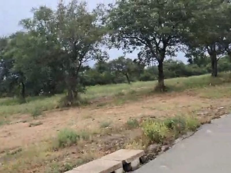 A view of the vacant residential land from the adjacent asphalt road, featuring established trees and natural ground cover.