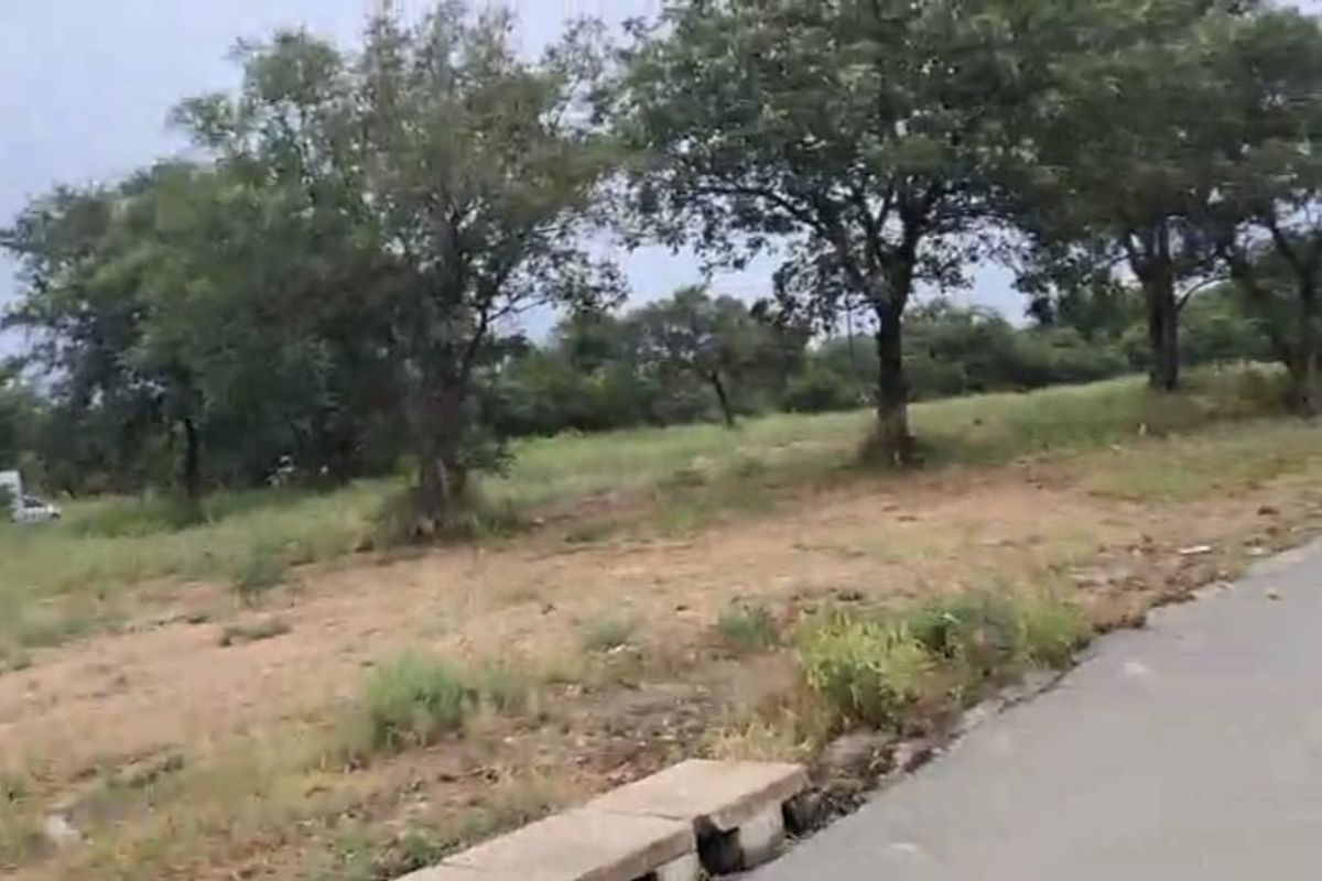 A view of the vacant residential land from the adjacent asphalt road, featuring established trees and natural ground cover.