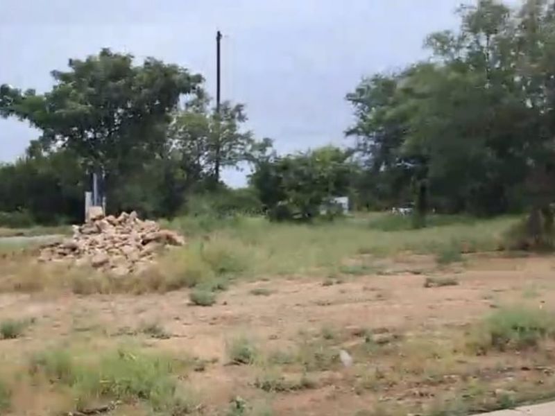 A view of a vacant residential plot featuring natural vegetation, mature trees, and a utility pole on the property boundary.