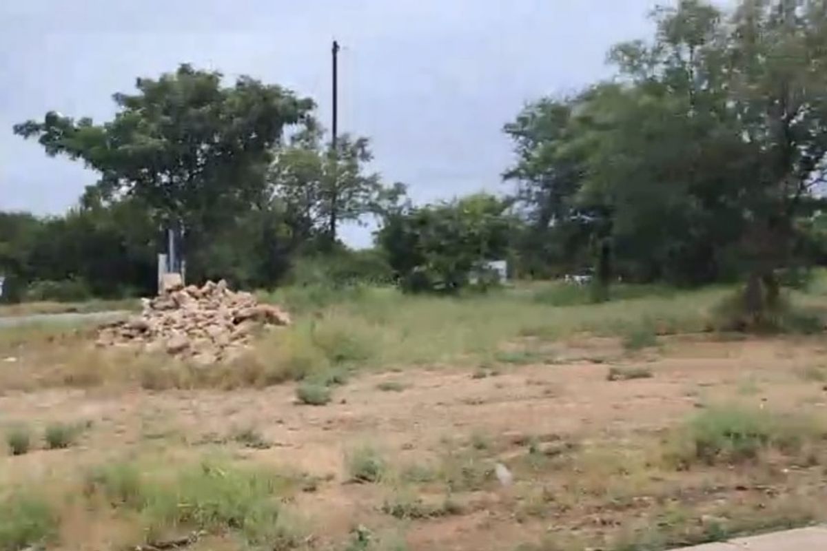A view of a vacant residential plot featuring natural vegetation, mature trees, and a utility pole on the property boundary.