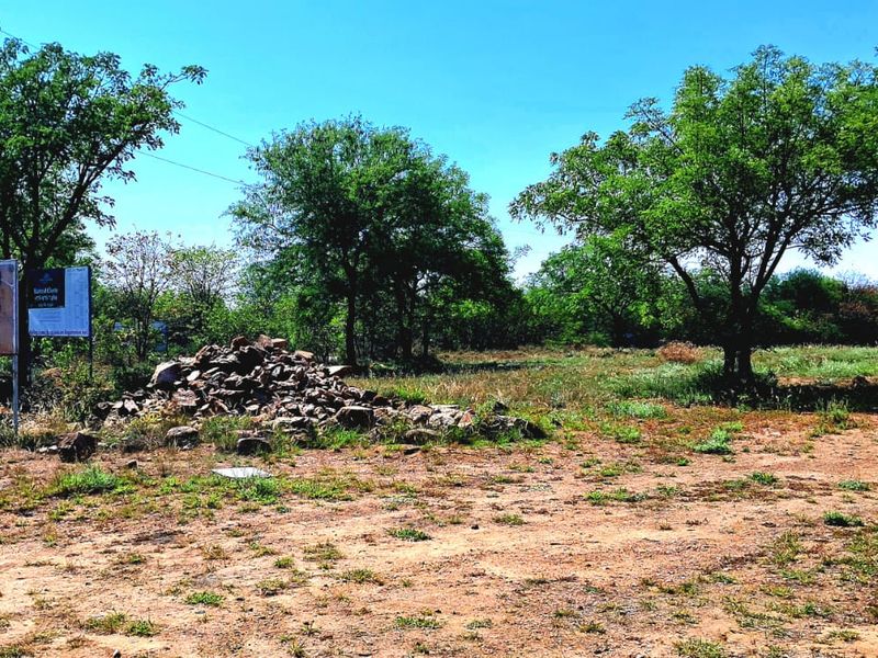 A view of a vacant residential plot featuring mature trees and a small pile of rocks on the cleared land.
