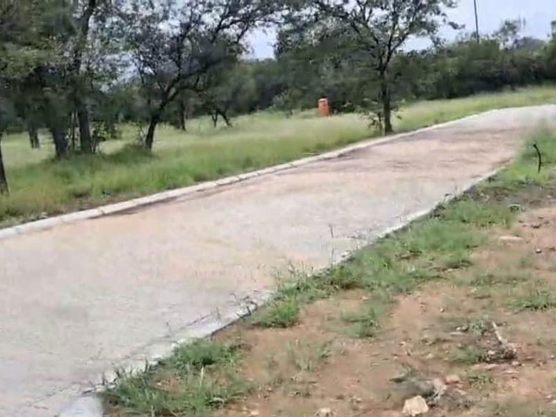 A view of a paved residential driveway and concrete curbing on a vacant plot of land surrounded by trees and natural vegetation.