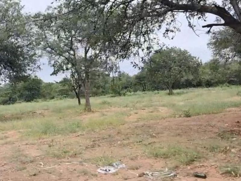 A view of a vacant residential plot featuring natural vegetation and mature trees.