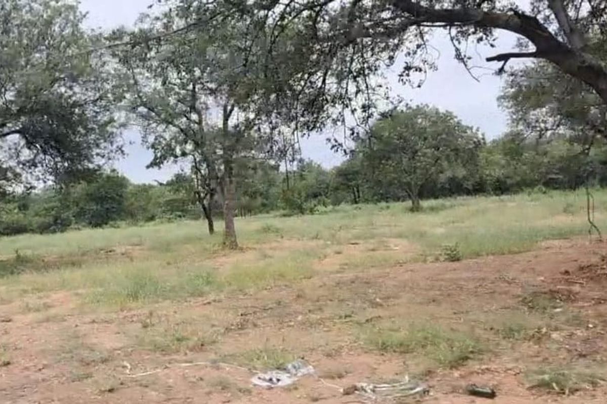 A view of a vacant residential plot featuring natural vegetation and mature trees.