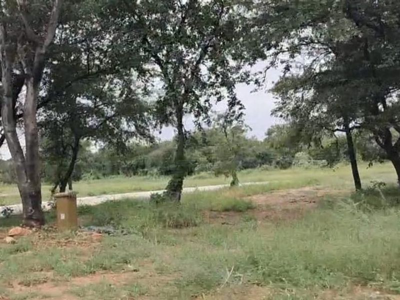 A view of a vacant residential plot featuring mature trees and natural grassland vegetation.