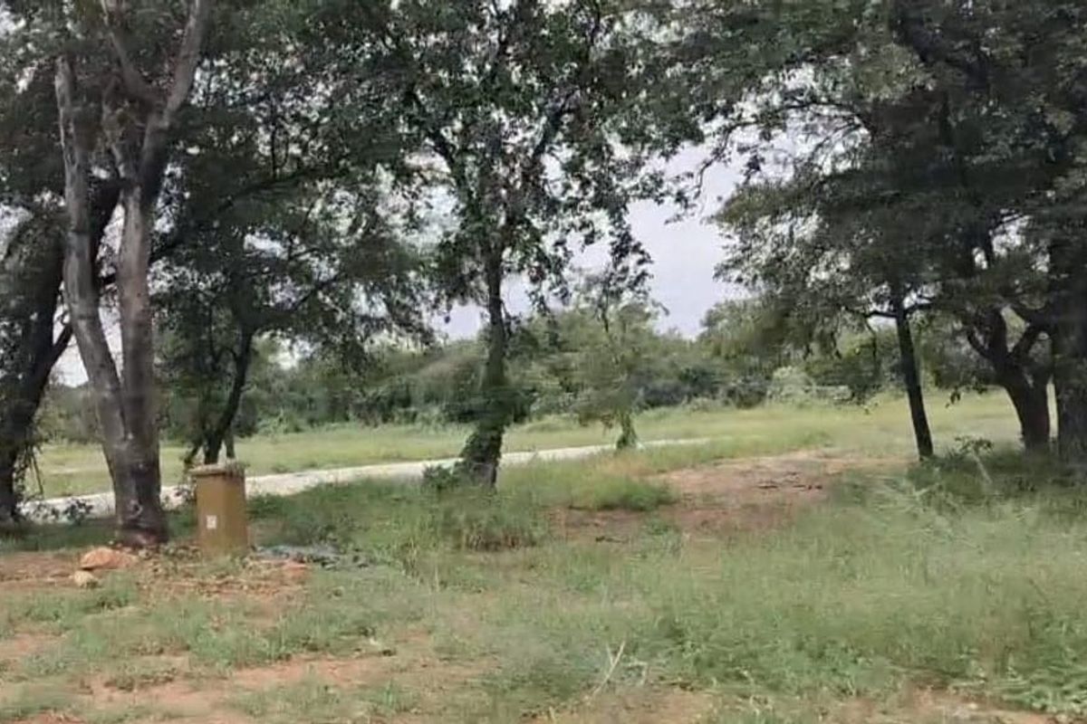 A view of a vacant residential plot featuring mature trees and natural grassland vegetation.
