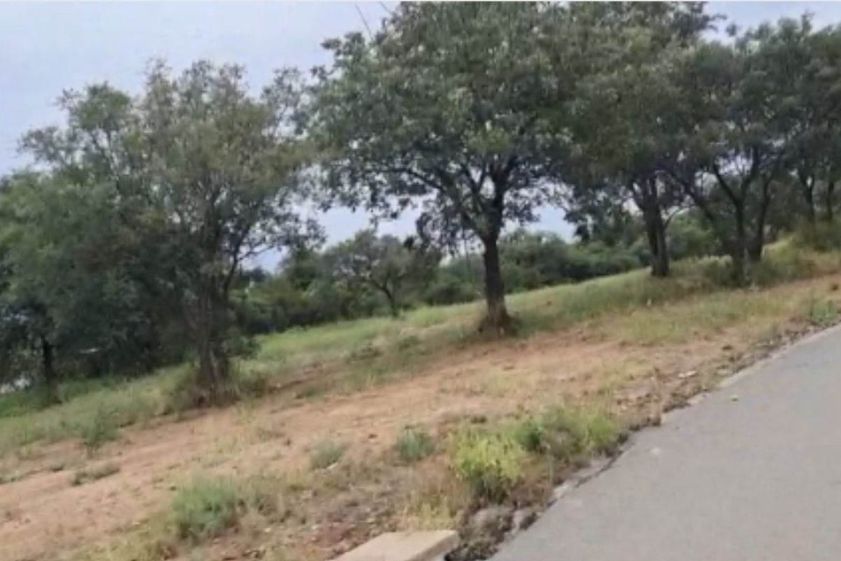 A view of the vacant residential land from the adjacent asphalt road, featuring established trees and natural grass cover.