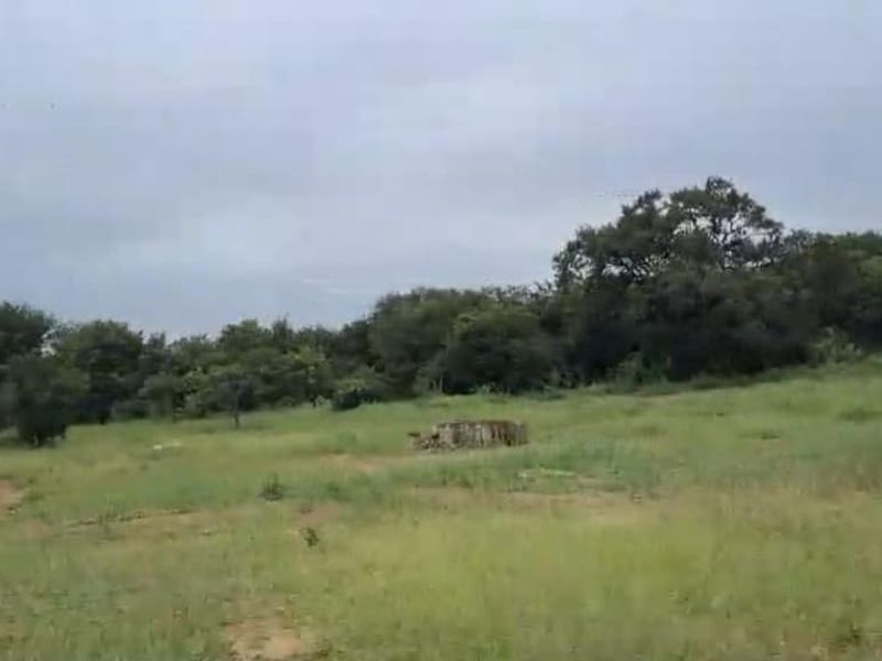 A view of a vacant residential plot featuring natural grassland and established trees, suitable for development.