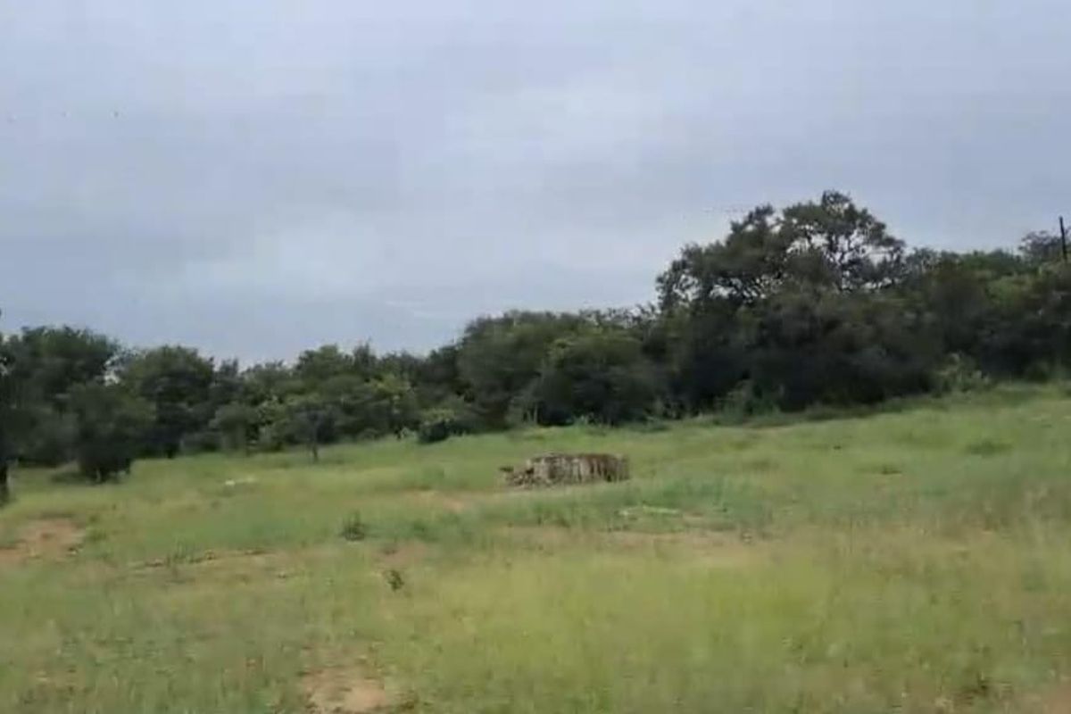 A view of a vacant residential plot featuring natural grassland and established trees, suitable for development.