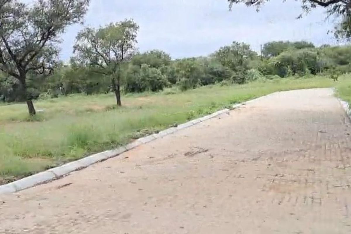 A view of a paved residential street with concrete curbing, bordered by open land and mature trees.