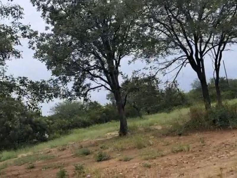 A view of a vacant residential plot featuring mature trees and natural vegetation on a sloped landscape.