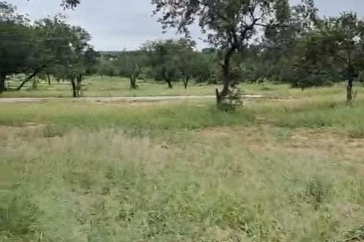 A view of a vacant residential plot featuring natural grassland, mature trees, and a concrete curb along the road edge.