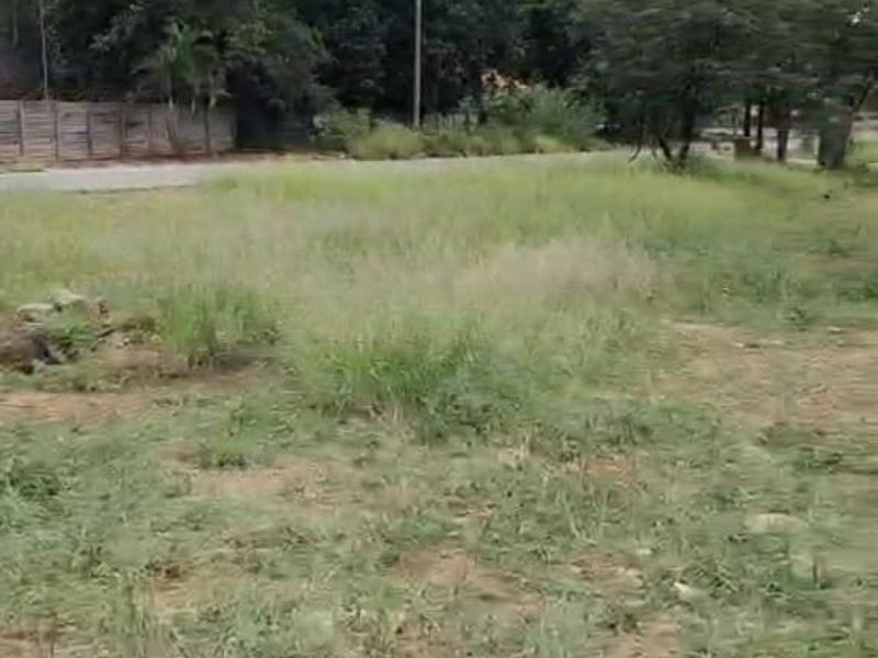 A vacant residential plot featuring natural grass cover, mature trees, and established boundary fencing, ready for development.