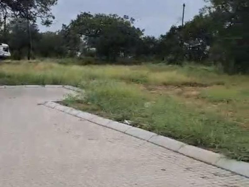 A view of a paved residential street with concrete curbing, bordering an undeveloped plot of land with mature trees.