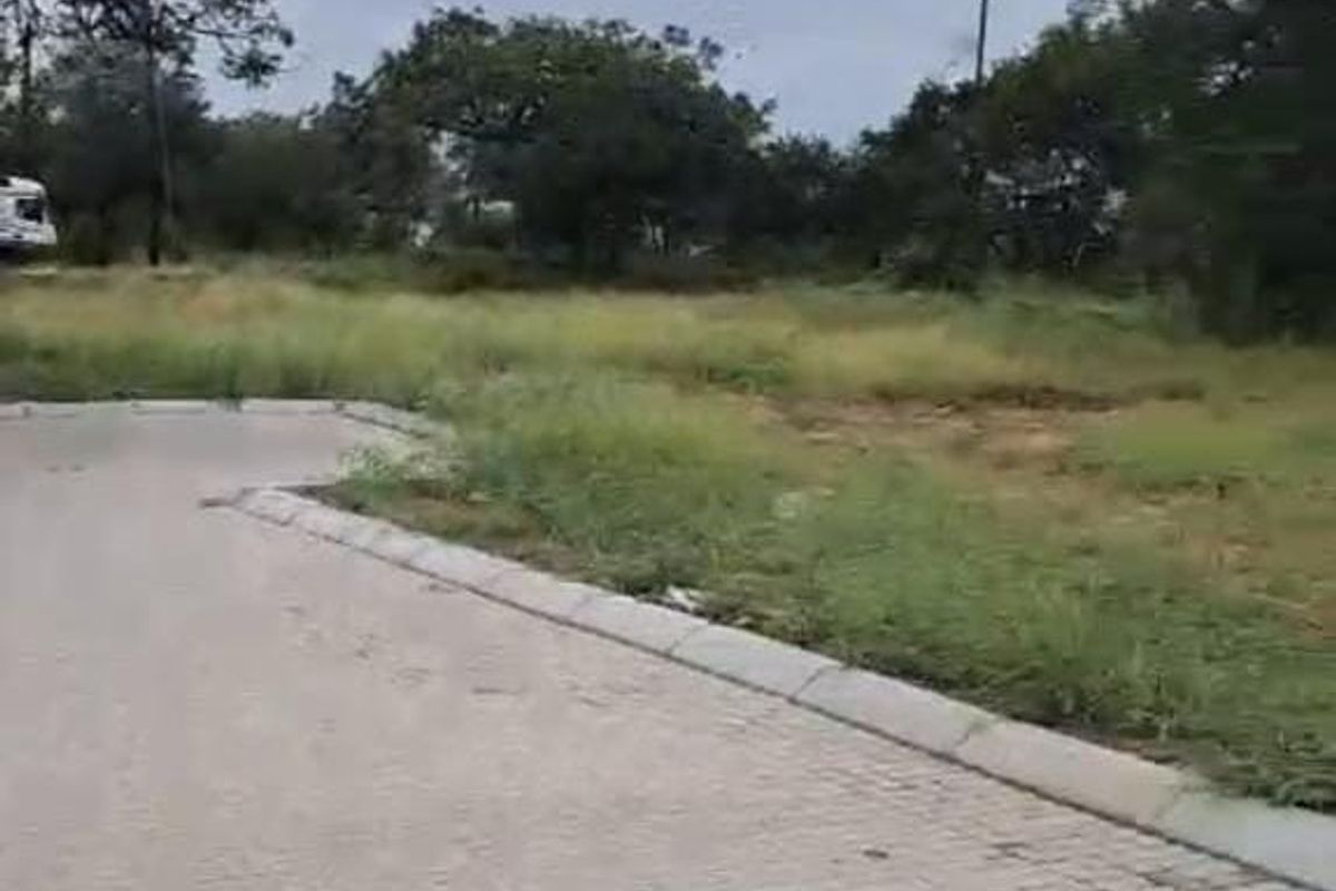 A view of a paved residential street with concrete curbing, bordering an undeveloped plot of land with mature trees.