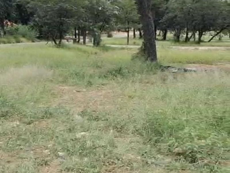 A view of a vacant residential plot featuring established trees and natural grass cover, bordered by a concrete curb.