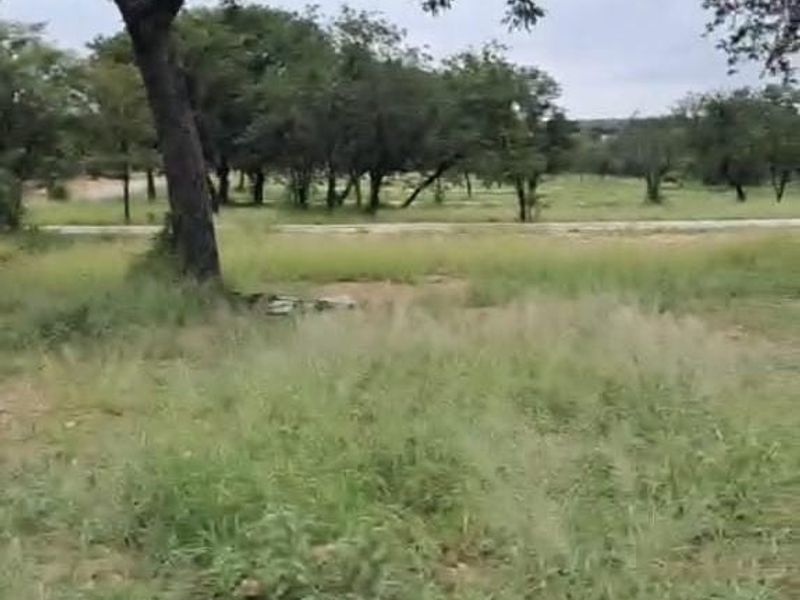 A view of a vacant residential plot featuring natural grassland and mature trees.