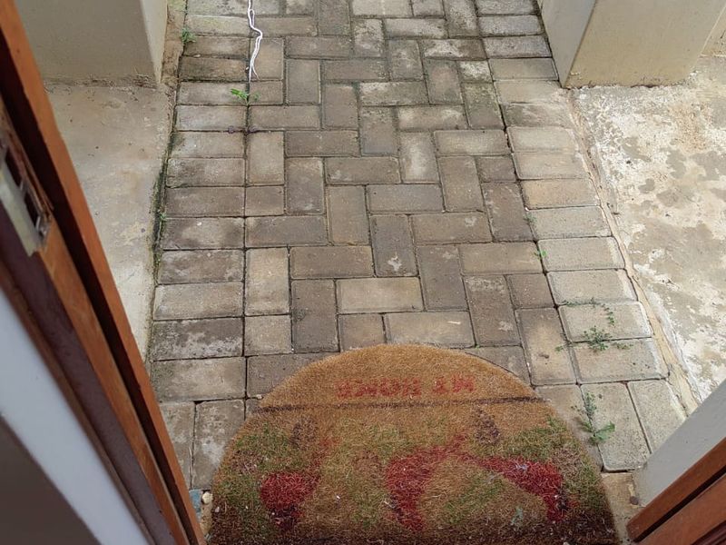 An exterior view of the property entrance featuring a paved walkway with visible moss and weed growth leading to the main doorway.