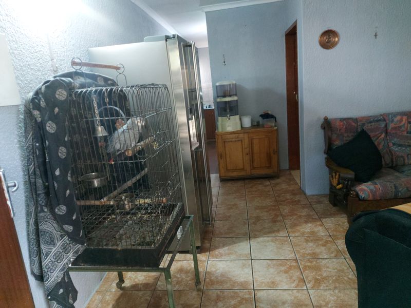 Oh! Here is This Chance to Go. - Photo 3