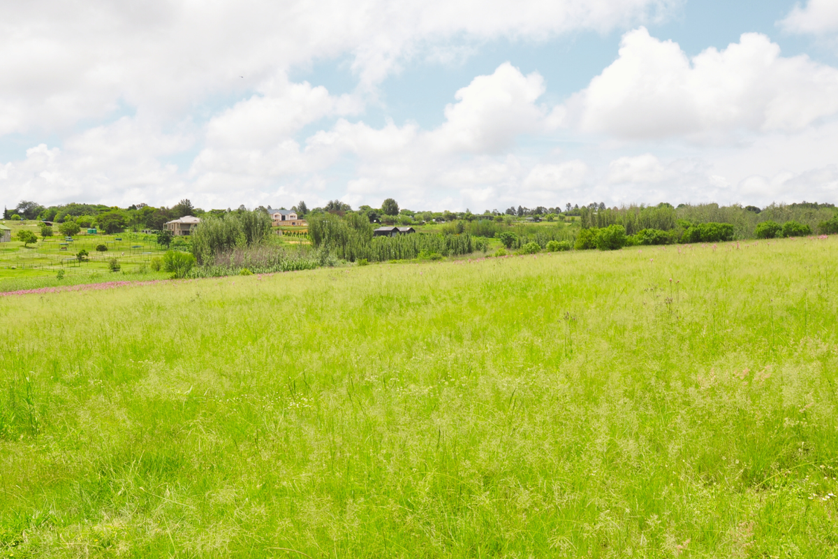A wide-angle view of the expansive, undeveloped grassy landscape and surrounding rural scenery.
