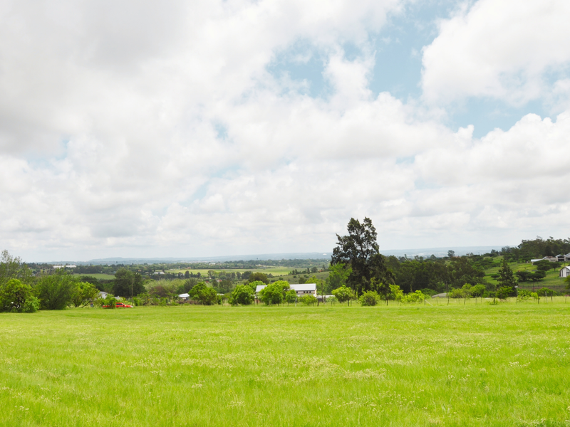 A wide-angle view of the expansive vacant residential land featuring lush green grass, mature trees, and distant rural landscape views.
