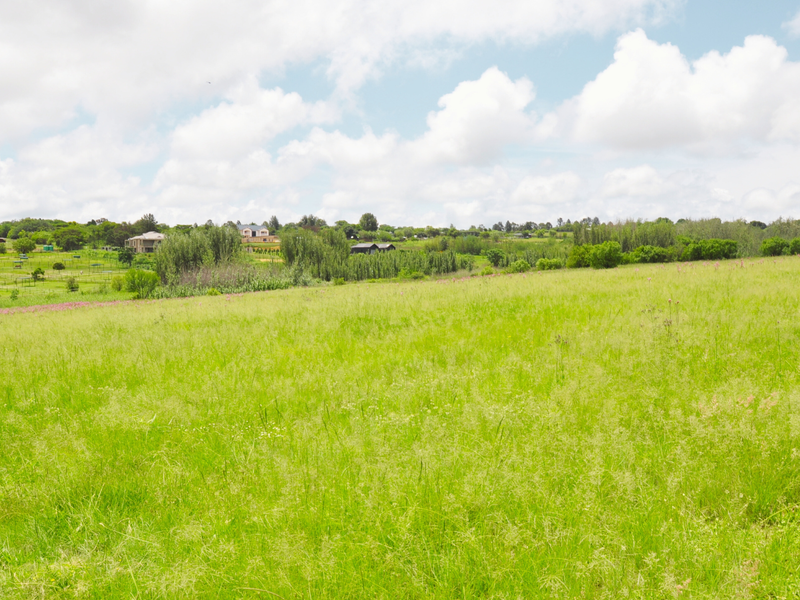 A wide-angle view of the expansive, undeveloped grassy landscape and surrounding rural scenery.