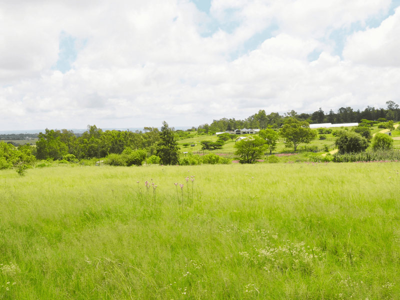 A wide-angle view of a sprawling, grassy residential plot featuring mature trees and natural landscape, ideal for development.