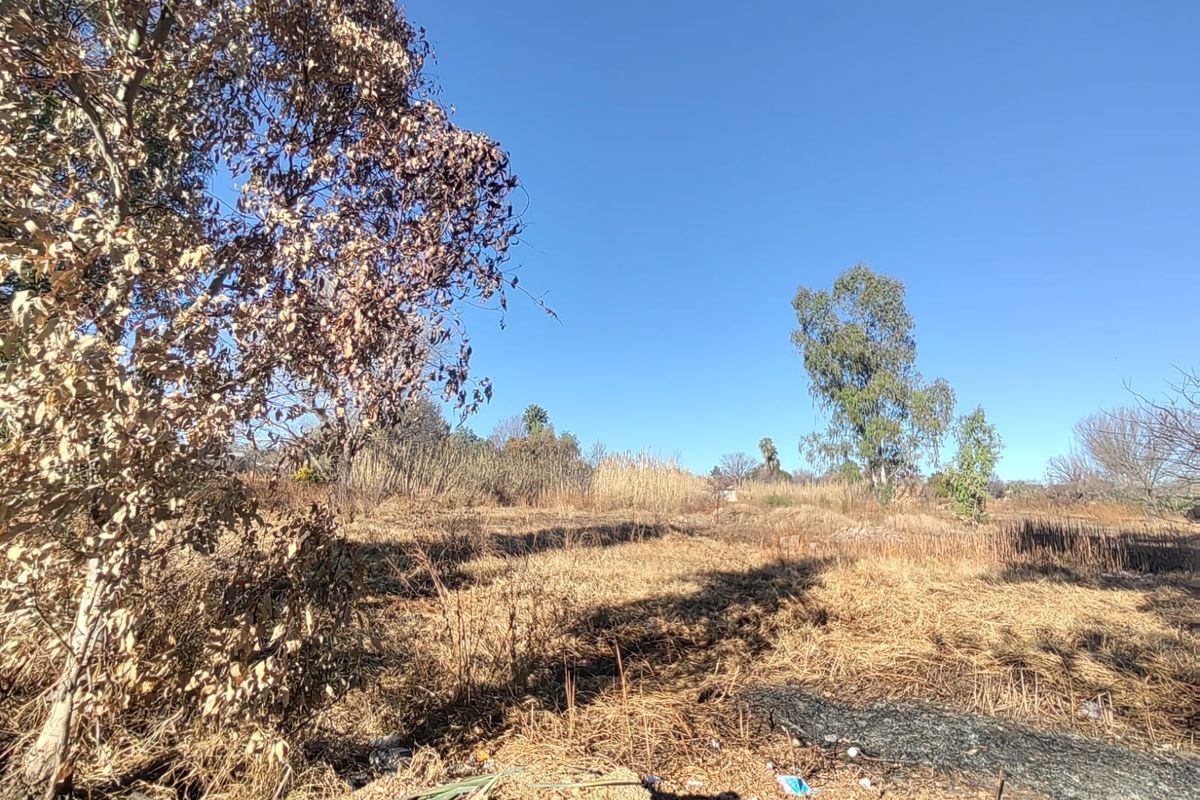 Large Stand with Business Rights for sale in Parys - Photo 2