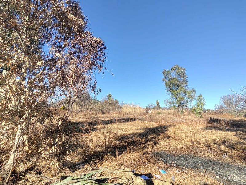 Large Stand with Business Rights for sale in Parys - Photo 2