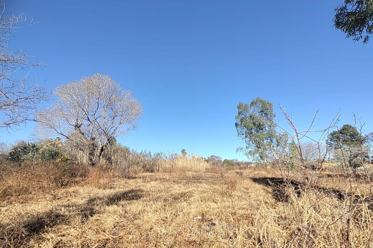 Large Stand with Business Rights for sale in Parys - Photo 4