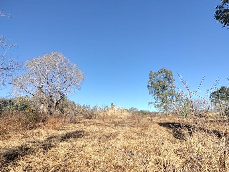 Large Stand with Business Rights for sale in Parys - Photo 4