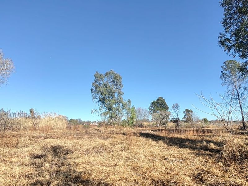 Large Stand with Business Rights for sale in Parys - Photo 8