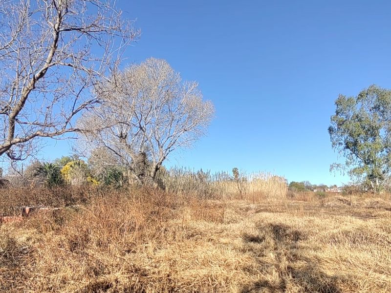 Large Stand with Business Rights for sale in Parys - Photo 6