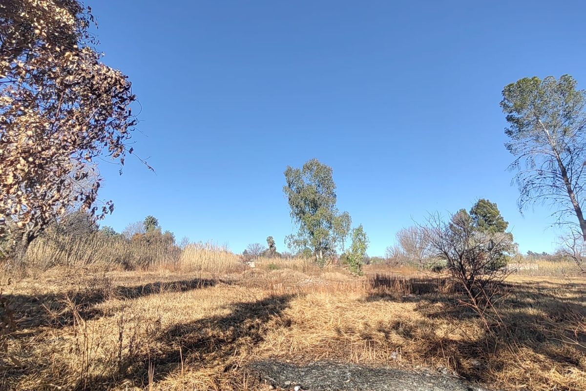 Large Stand with Business Rights for sale in Parys - Photo 3